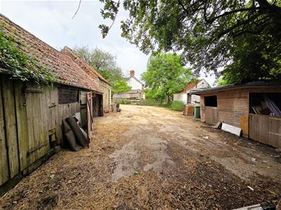 Picture 8